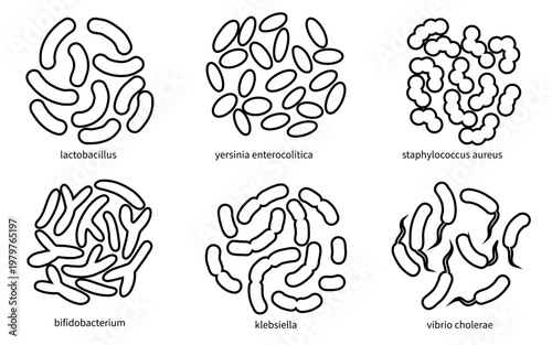 Black and white various bacterial arrangements. Probiotics bacterium, cholerae, Enterocolitica, klebsiella and microbes. Microbiology research for microbiology students. Human healthcare concept.