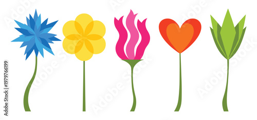 Collection of various colorful flower designs with stems vector graphic.