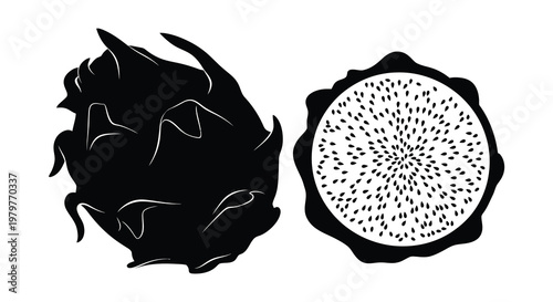 Dragon fruit illustration displaying whole and cut sections silhouette