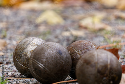 four boule ball in gravel path