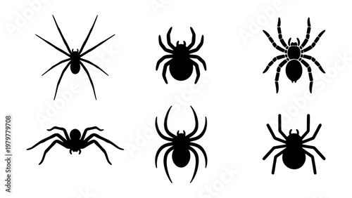 Black spider silhouette collection, 6 arachnid icons, tarantula and insect vector set