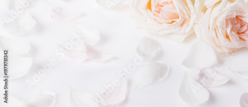 Romantic Wedding Rose Banner Background with Copy Space.