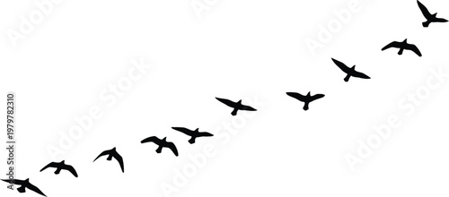Memorial day remembrance silhouette of birds flying in formation honoring fallen heroes