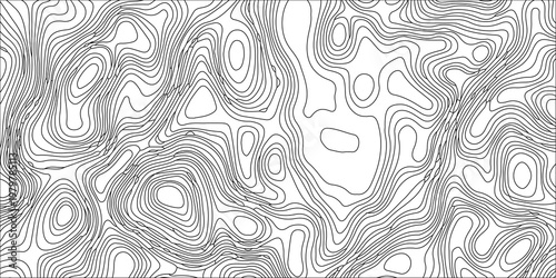 Elegant black and white seamless pattern featuring an abstract geometric vector design with vintage floral lines and a retro tile texture for decorative wallpaper backdrops