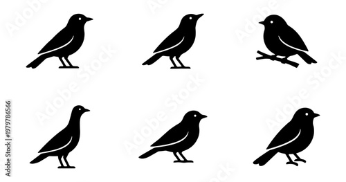 Fotografie Minimalist bird silhouette set, 6 black avian vector icons, wild songbird illust