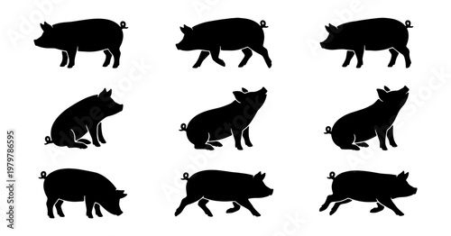 Pig silhouette vector set, farm animal icons, black hog shapes for butcher shop branding