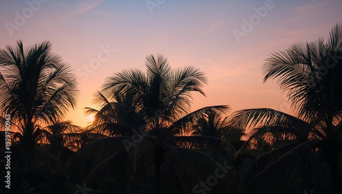 Silhouette of palm trees against a glowing sunset sky creating a warm tropical landscape.