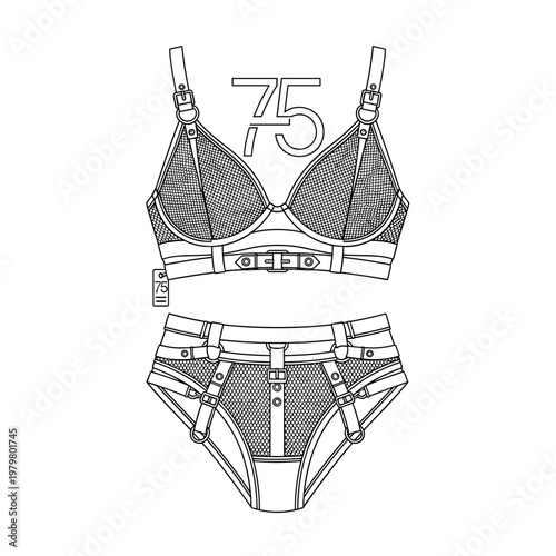 Lingerie set, women's underwear, bra and panties, grey illustration, 75 elements