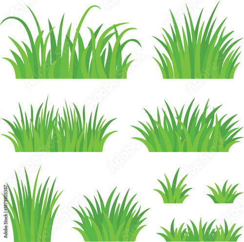Various green grass clippings isolated vector illustration set. 