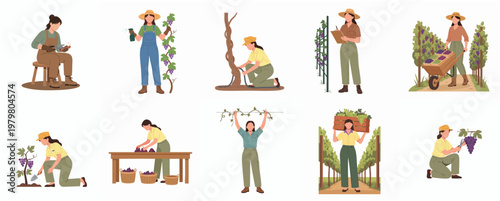 Charming Handdrawn Set Woman Harvesting Grape Fruit in Vineyard Field
