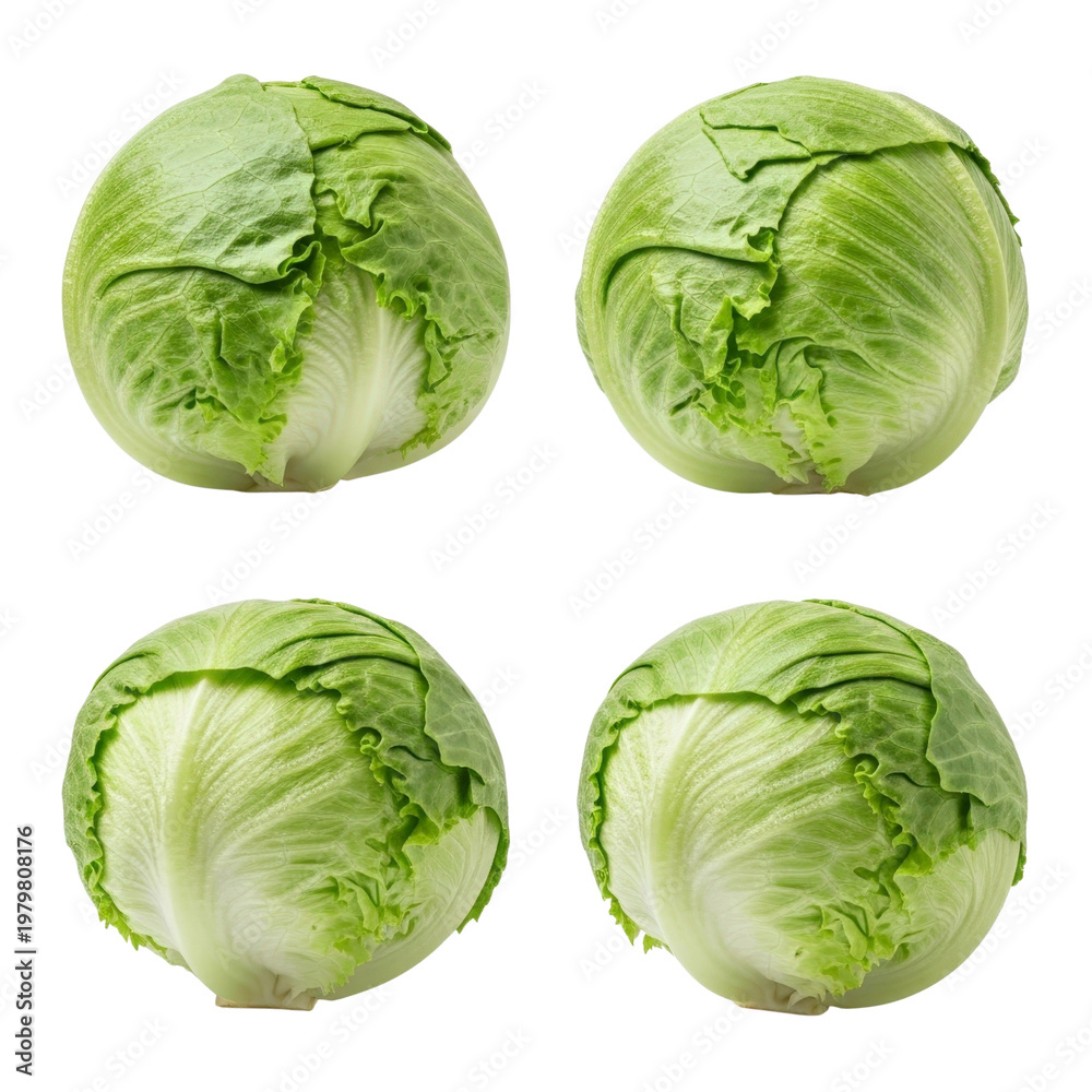 Obraz premium Four Iceberg lettuces isolated on transparent background
