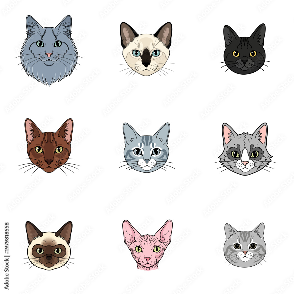 Obraz premium Set of Nine Diverse Cat Breed Face Illustrations: Siamese, Sphynx, Maine Coon, and Tabby Portraits