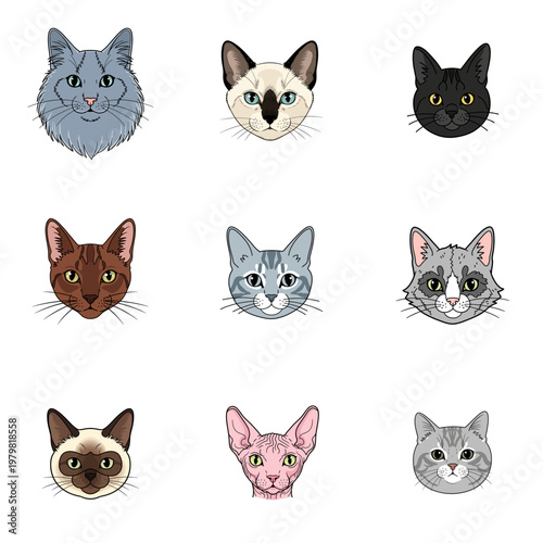 Set of Nine Diverse Cat Breed Face Illustrations: Siamese, Sphynx, Maine Coon, and Tabby Portraits