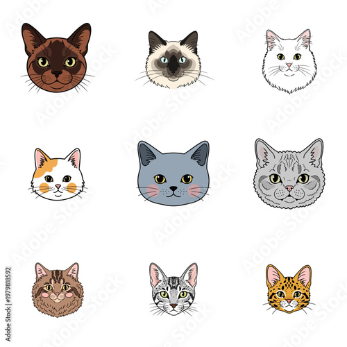 Set of Cute Cat Breed Face Illustrations - Collection of Popular Domestic Feline Portraits