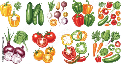 Fresh Vegetable Collection with Tomato Onion Cucumber Pepper Carrot and Greens Set for Healthy Food Cooking Vector Illustration
