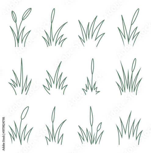 Collection of Simple Green Grass and Reed