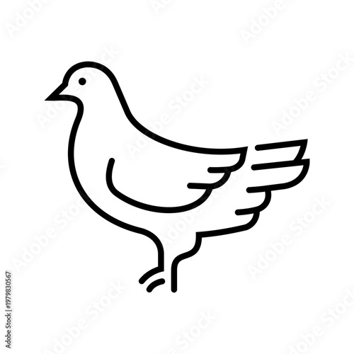 Pigeon icon icon. Animals and birds line symbol. Black and white.