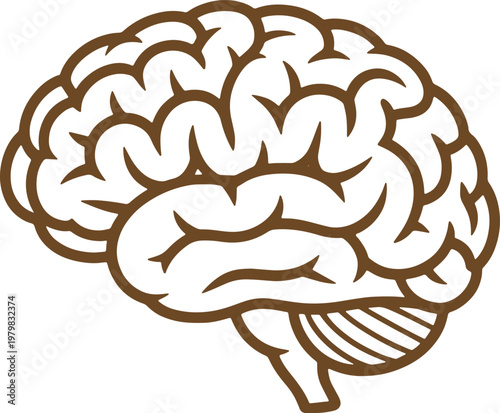 Brown outline of human brain with cerebellum and brainstem on white background silhouette