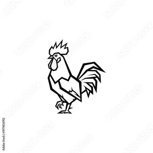 Black and white rooster standing proudly.