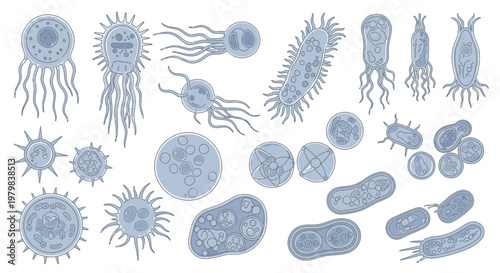 Collection of Diverse Microscopic Organisms and Bacteria Illustrations.