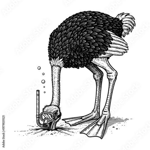 black and white ostrich bending down to inspect small object on sandy ground illustration