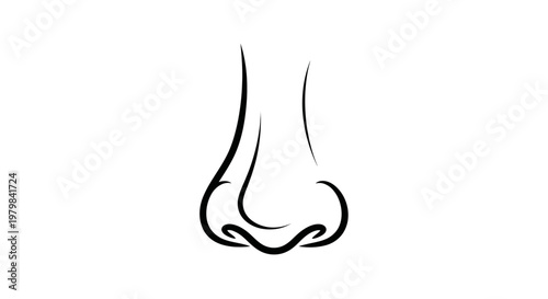 Minimalist Line Art Drawing of Human Nose on White Background