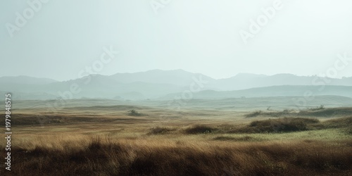 Serene Landscape with Rolling Hills and Soft Mist in Morning Light