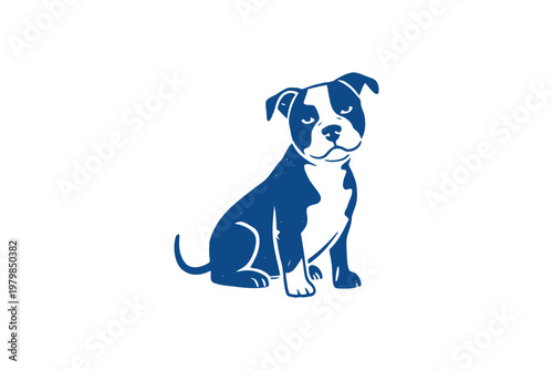 Blue and white pit bull puppy sitting