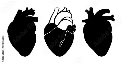 Cardiology heart organ icon set with solid black icon on white background featuring medical, anatomy, cardiovascular with simple and graphic