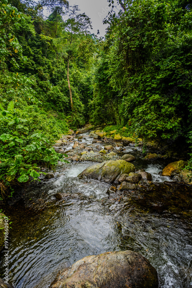 Fototapeta premium Rocky stream flowing through tropical rainforest near Kibale National Park