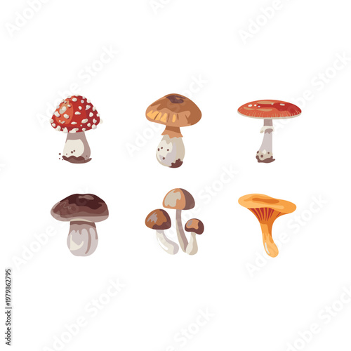 mushrooms isolated on white