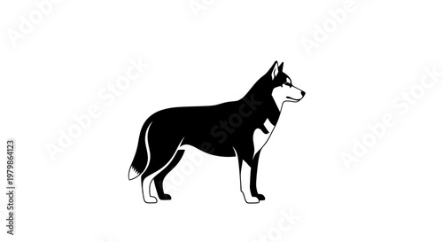 Black and white Siberian Husky dog profile illustration, standing alert, isolated on white background.