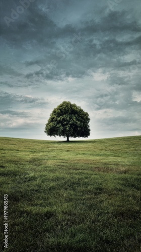 Solitary Green Tree on Hill under Dramatic Cloudy Sky Landscape