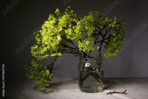 Fotografie Spring