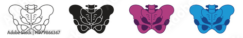 Pelvic area icon set, vector illustration.