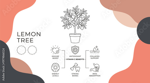 Lemon Tree Infographic with Health Benefits of Vitamin C and Potted Citrus Fruit Plant Botanical Line Art