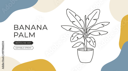 Minimalist Banana Palm Vector Illustration with Abstract Organic Shapes and Potted Musa Plant Botanical Line Art