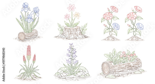 Spring flowers and garden plants in wooden log planters vector set with minimalist flat line art style for nature decor