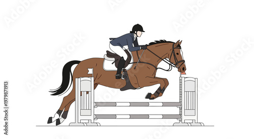 Professional equestrian jumping a hurdle on a brown horse. EPS Editable. Vector Illustrations.