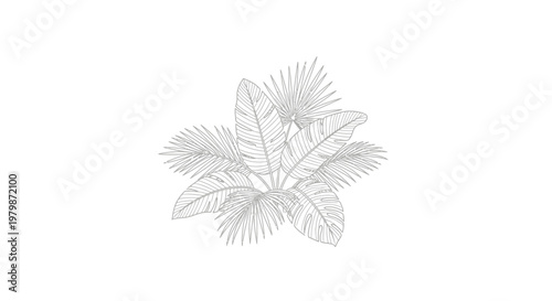 Detailed illustration of palm leaves.