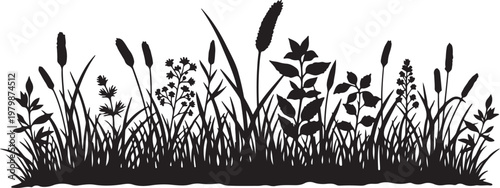 Black Silhouette of Grasses and Plants on White Background