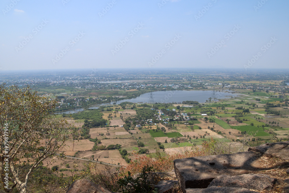 Obraz premium Beautiful tree branches on a hill and view of the village in the background near vandavasi city in Tamil nadu 
