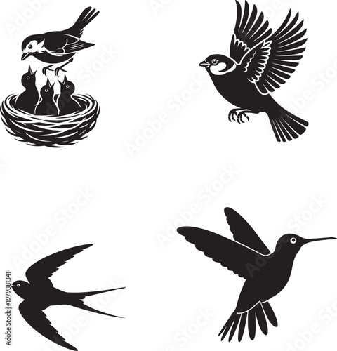 black and white illustrations of various birds in flight and nest