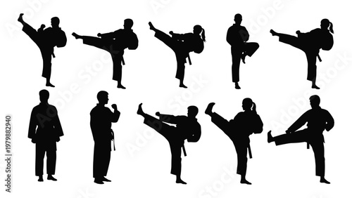 A collection of silhouetted figures demonstrates various dynamic martial arts poses including kicks and stances high quality professional detailed modern elegant