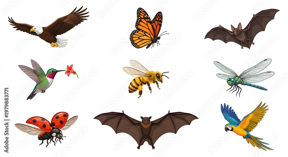 Obraz premium A colorful variety of airborne creatures including an eagle, hummingbird, parrot, bat, butterfly, bee, ladybug, and dragonfly, isolated on a white background.