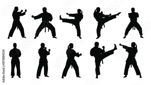 A collection of silhouettes depicts various dynamic martial arts poses showcasing strength discipline and athletic movement high quality professional detailed modern