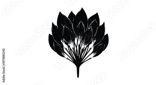 Flower silhouette displays intricate petal patterns in a high contrast design.