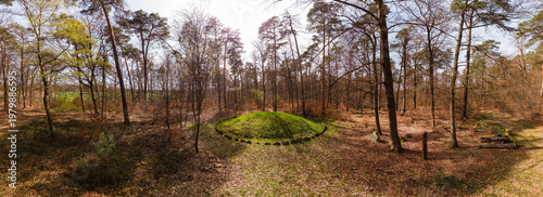 Wallpaper Mural Keltisches Hügelgrab im Wald, mit doppeltem Steinkranz (Enkenbach-Alsenborn) Torontodigital.ca