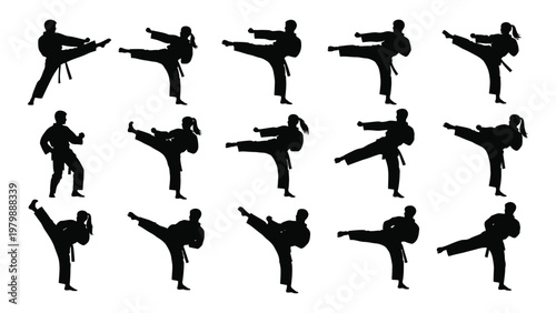 A collection of black silhouettes depicting various martial arts poses predominantly showcasing dynamic kicking techniques high quality professional detailed modern elegant