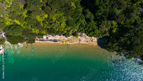 Aerial view of golden sands meet turquoise waters, nestled between lush green forests on a pristine beach, Abel Tasman National Park, Tasman Region, New Zealand.